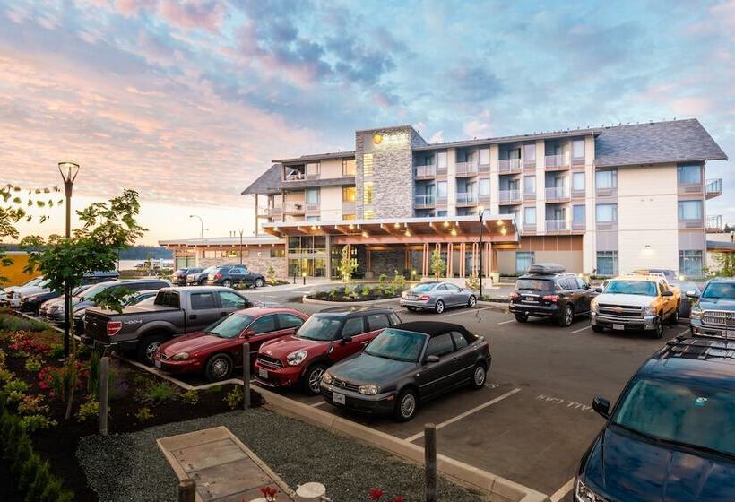 فندق Comfort Inn & Suites