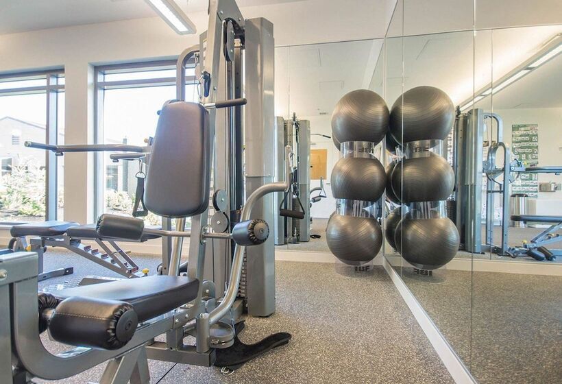 فندق Comfort Inn & Suites