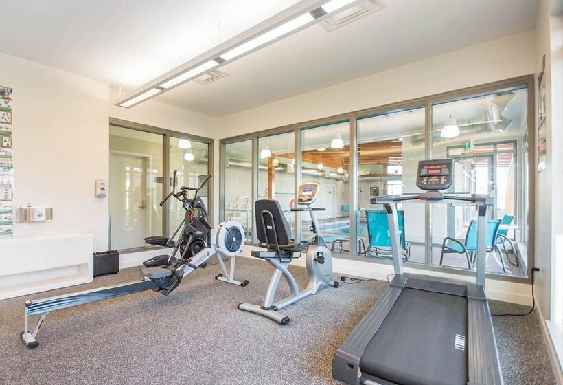 فندق Comfort Inn & Suites