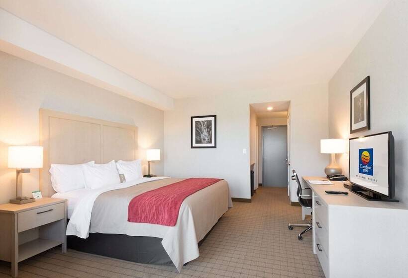 فندق Comfort Inn & Suites