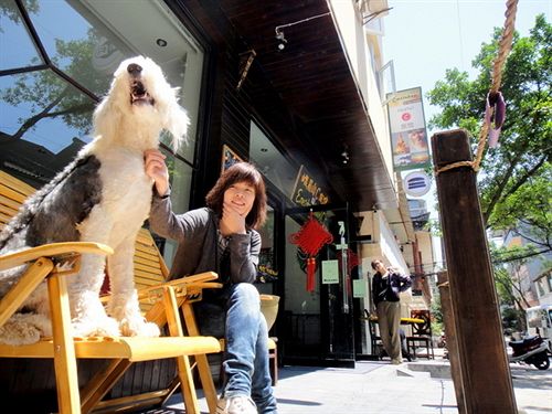 호텔 Dengba Hostel Mt. Emei