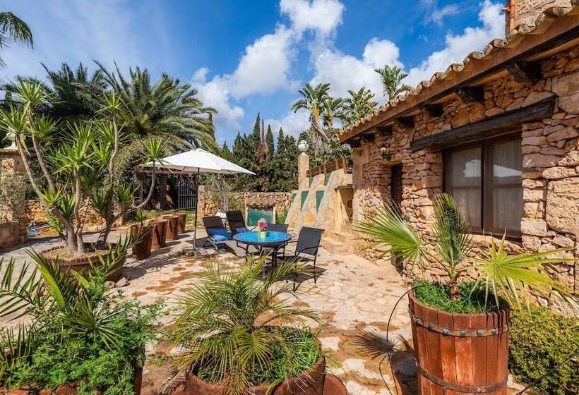 ホテル Es Revellar Art Resort  Adults Only