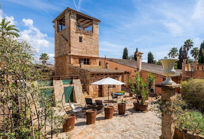 ホテル Es Revellar Art Resort  Adults Only