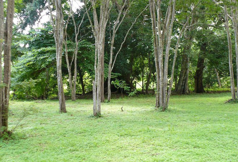 فندق Finca Buena Fuente Residence