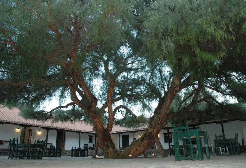 酒店 Hacienda De Molinos