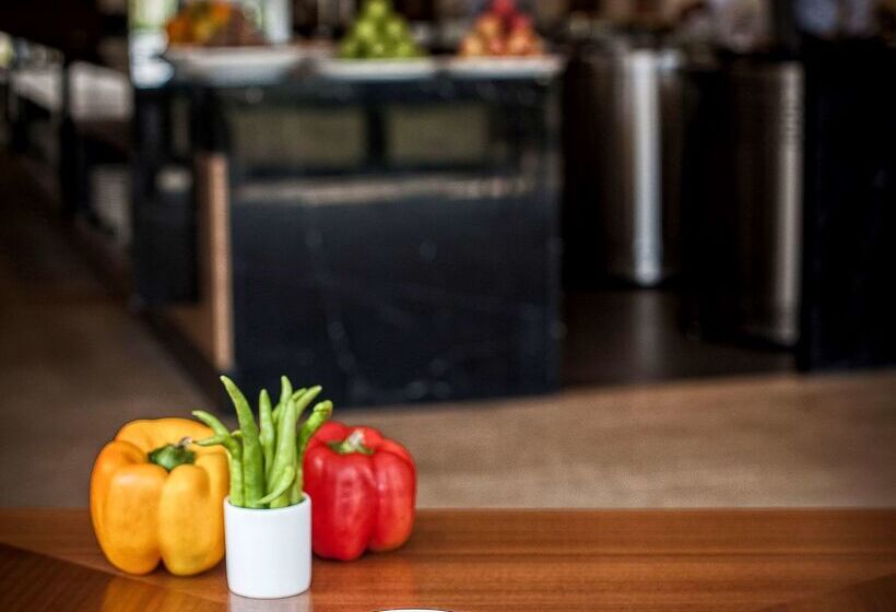 בית מלון כפרי Hyatt Place Hampi