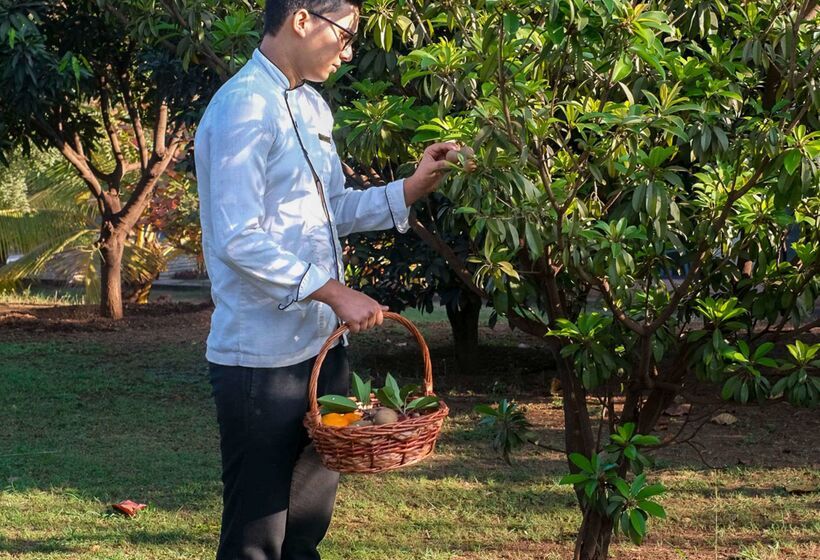 בית מלון כפרי Hyatt Place Hampi