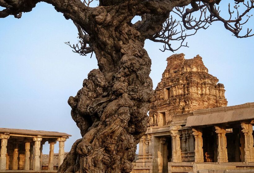 בית מלון כפרי Hyatt Place Hampi