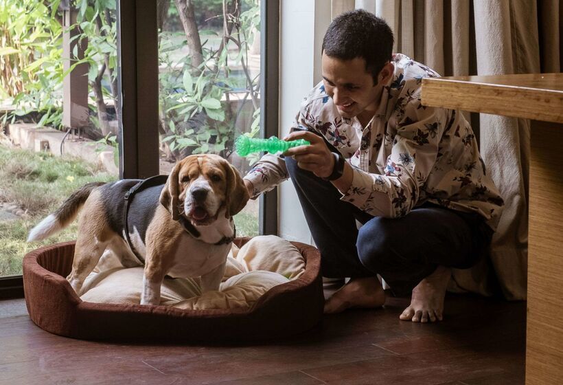 בית מלון כפרי Hyatt Place Hampi