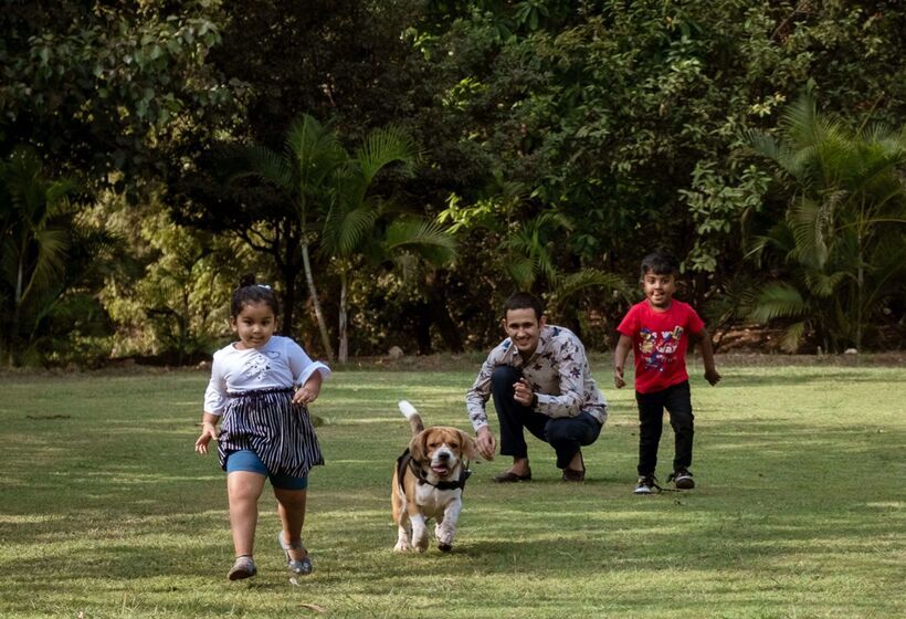 בית מלון כפרי Hyatt Place Hampi