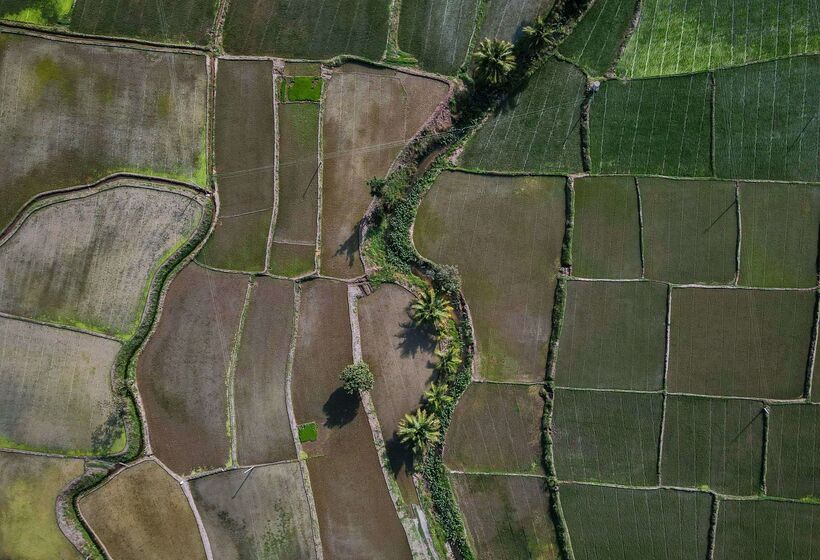 בית מלון כפרי Hyatt Place Hampi