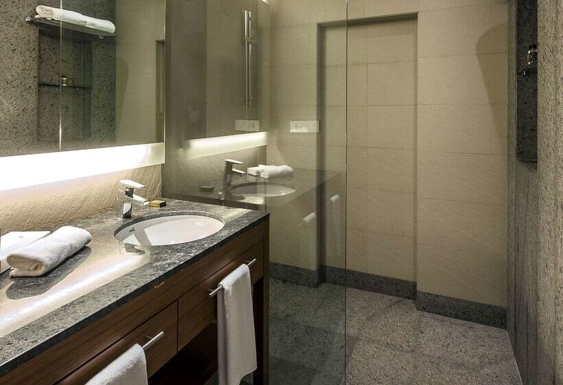 בית מלון כפרי Hyatt Place Hampi