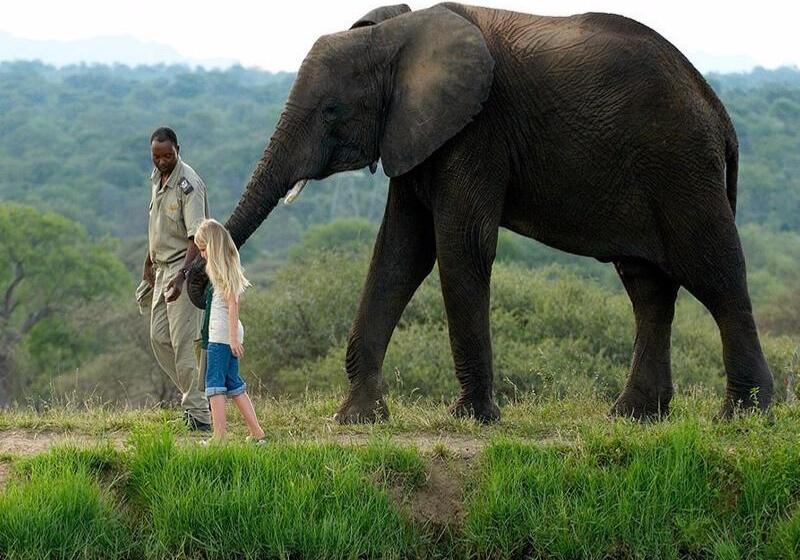 ホテル Jabulani Safari