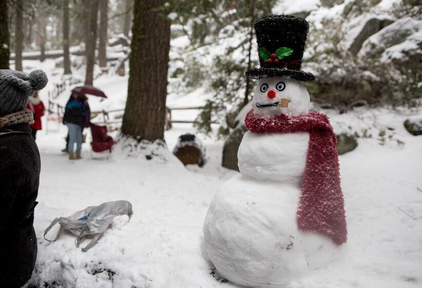 Отель John Muir Lodge