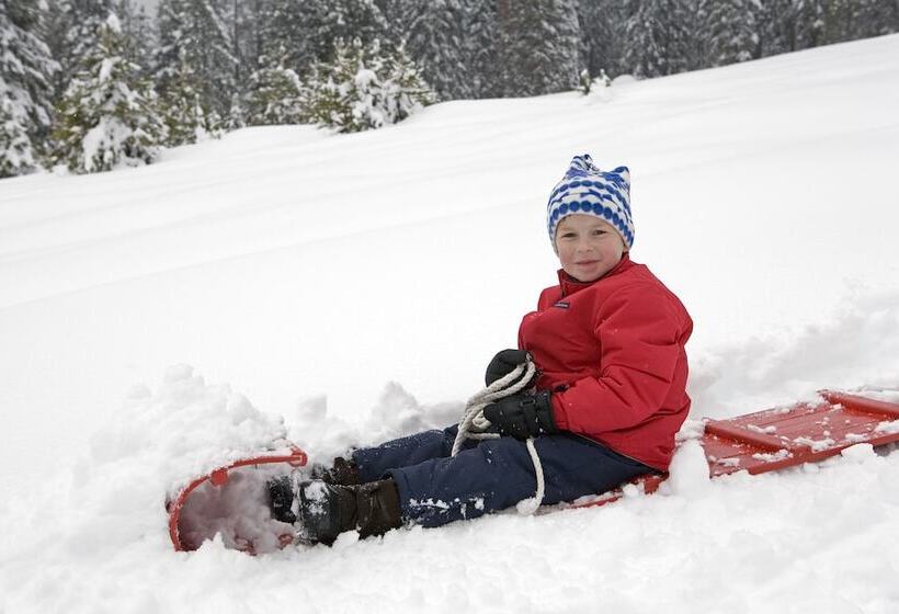 Отель John Muir Lodge