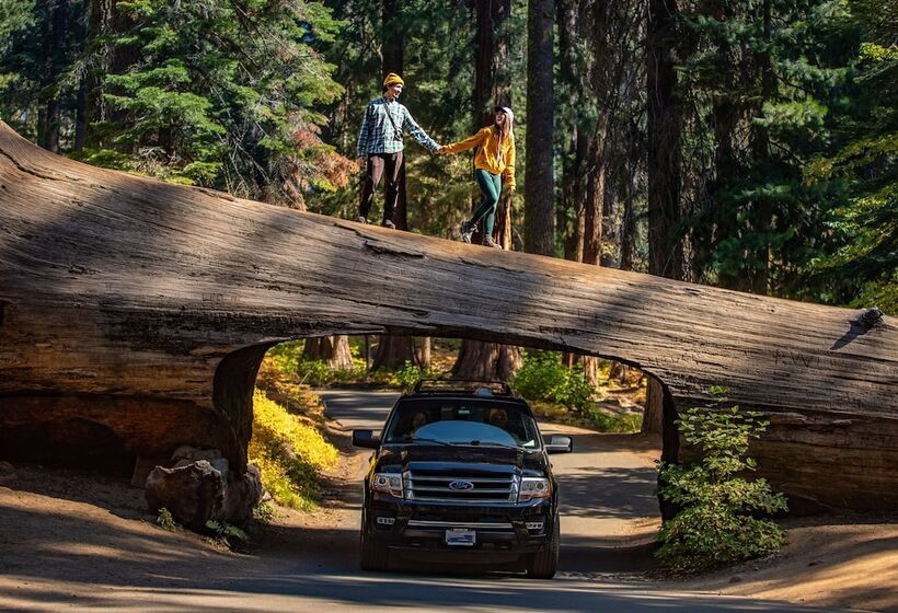 Отель John Muir Lodge