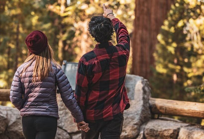 Отель John Muir Lodge