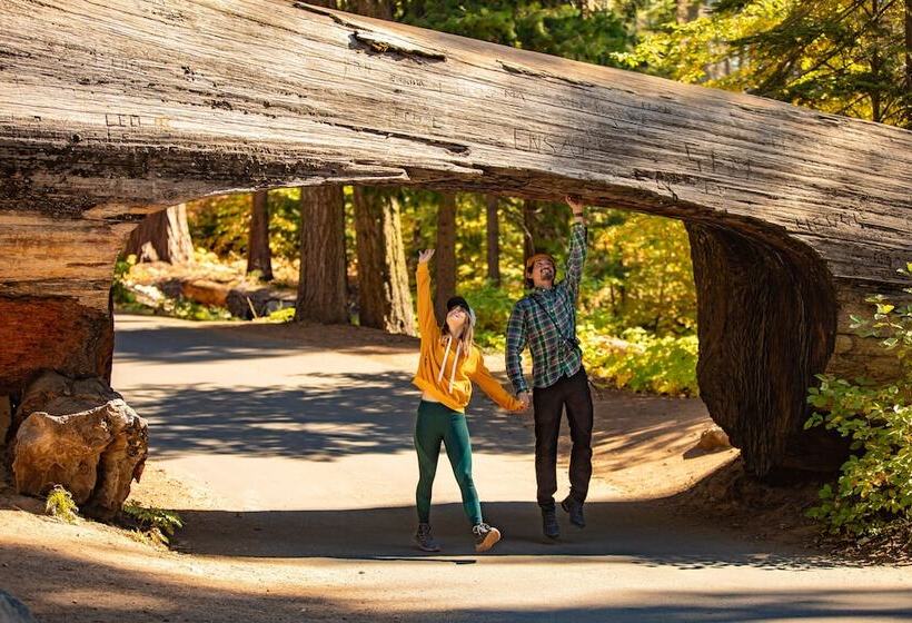 Отель John Muir Lodge