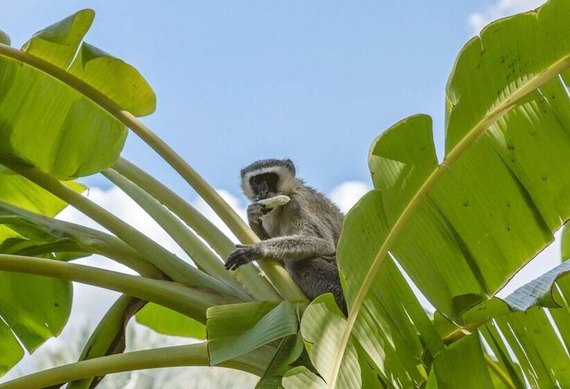 فندق Kunene River Lodge