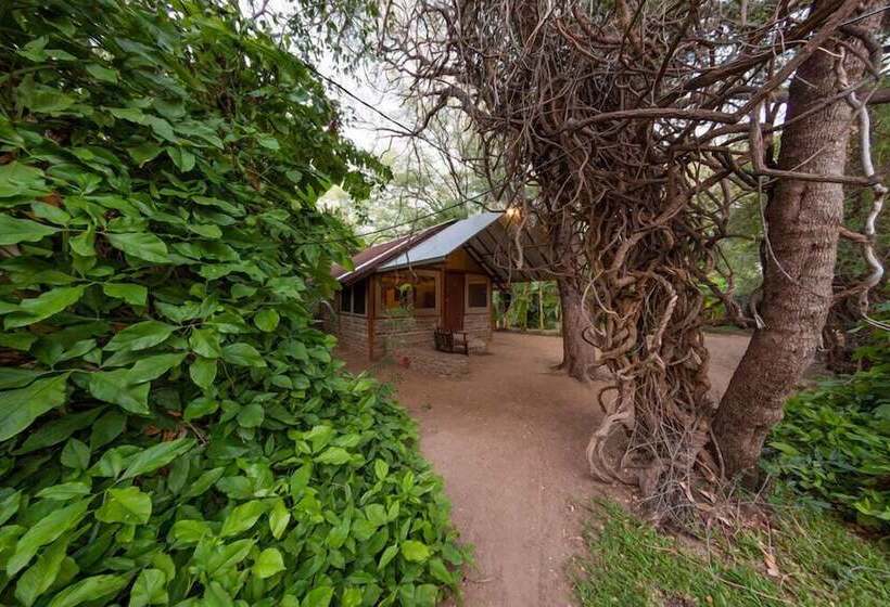 فندق Kunene River Lodge