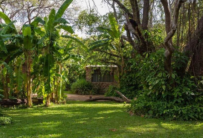 فندق Kunene River Lodge