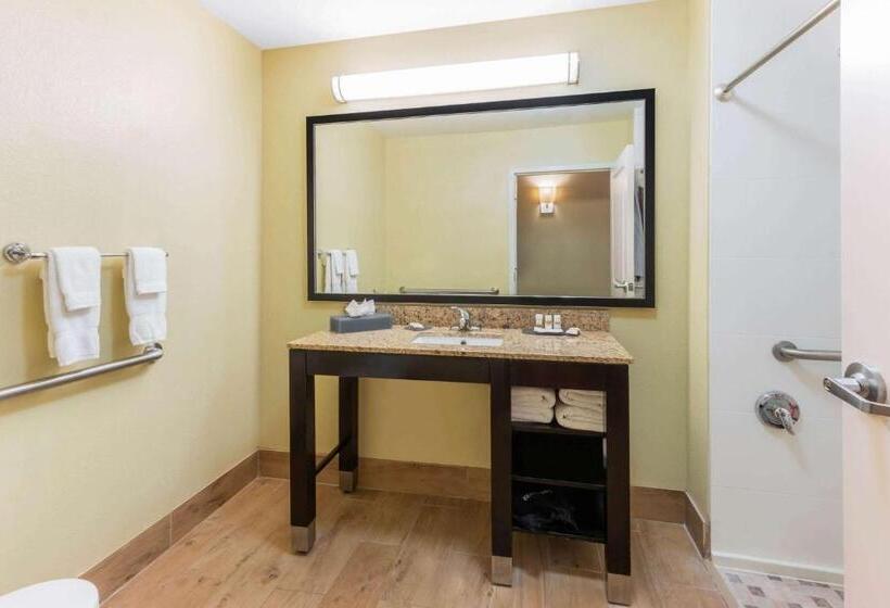 فندق La Quinta By Wyndham Carlsbad