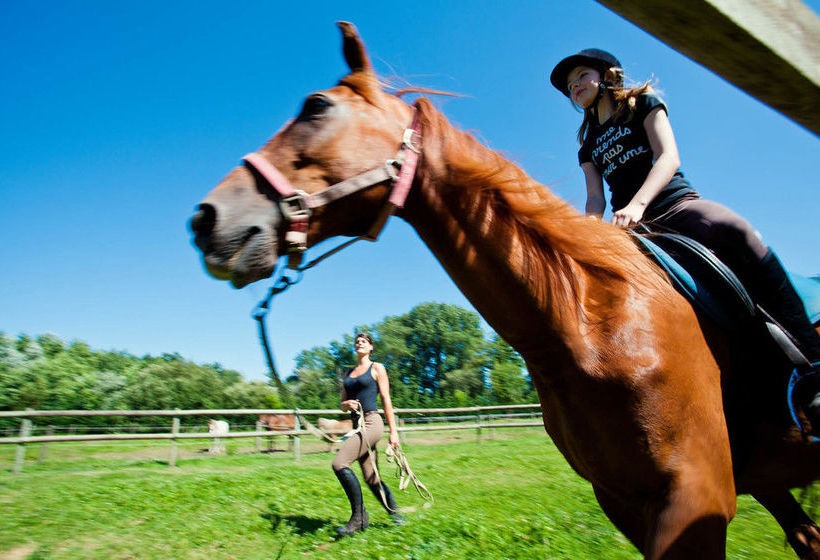 Отель Camping Siblu Les Charmettes