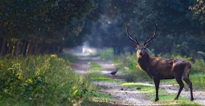 Отель Michelangelo Holiday & Family Resort
