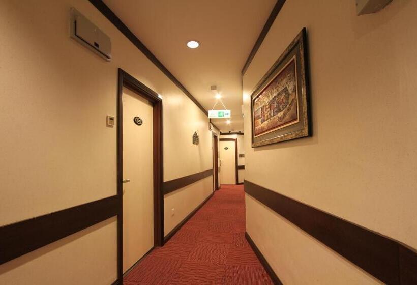 בית מלון כפרי Ming Paragon