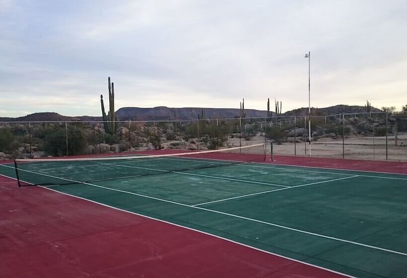 호텔 Mision Catavina