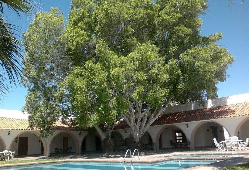 호텔 Mision Catavina