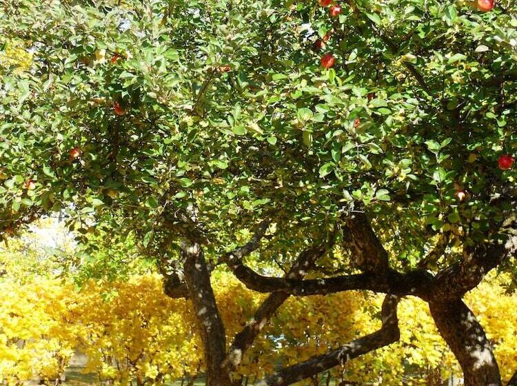 Отель Nasby Slott