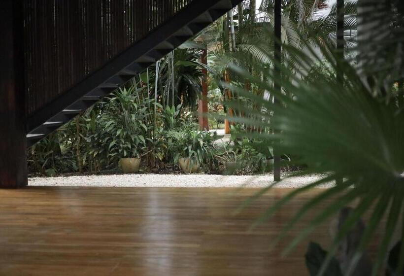 בית מלון כפרי Outsite Santa Teresa Playa