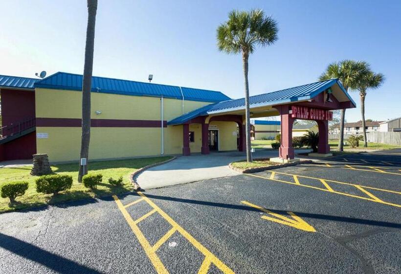 בית מלון כפרי Palm Court Inn & Suites