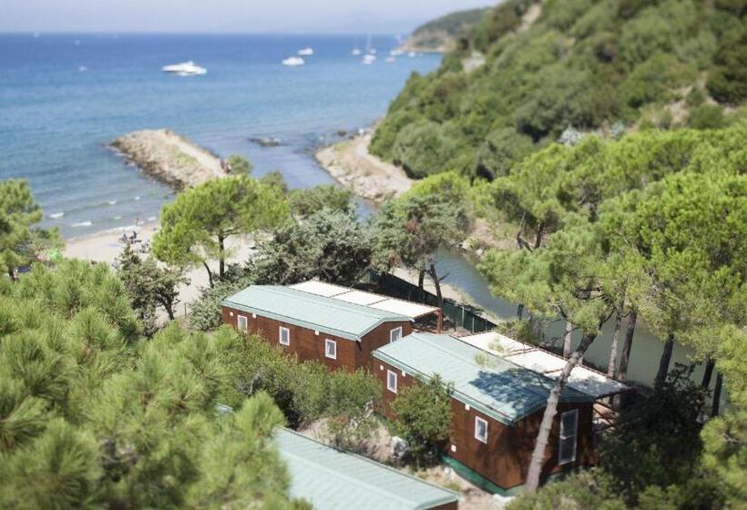 هتل Puntala Camp & Resort