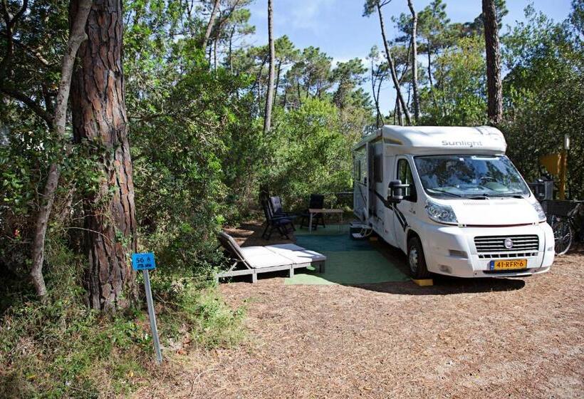 هتل Puntala Camp & Resort