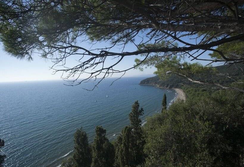 هتل Puntala Camp & Resort