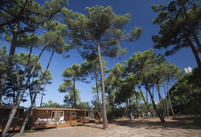 هتل Puntala Camp & Resort