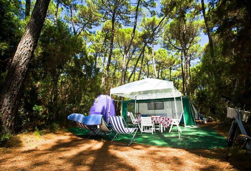 هتل Puntala Camp & Resort