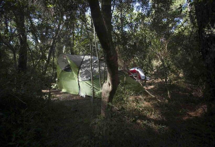 هتل Puntala Camp & Resort