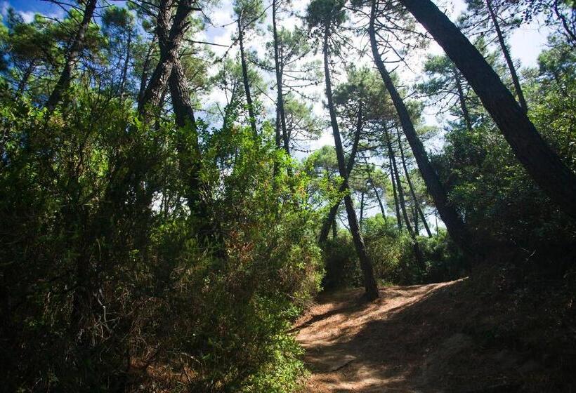 هتل Puntala Camp & Resort