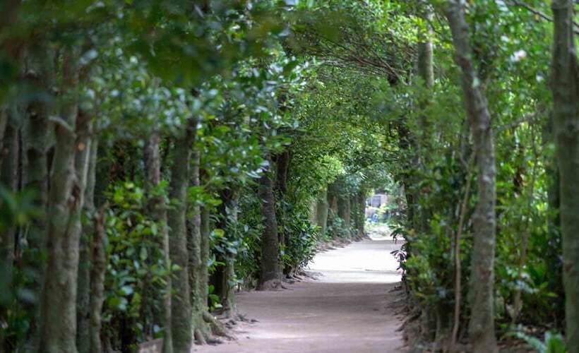 Resort Hotel Buena Vista Nakijin