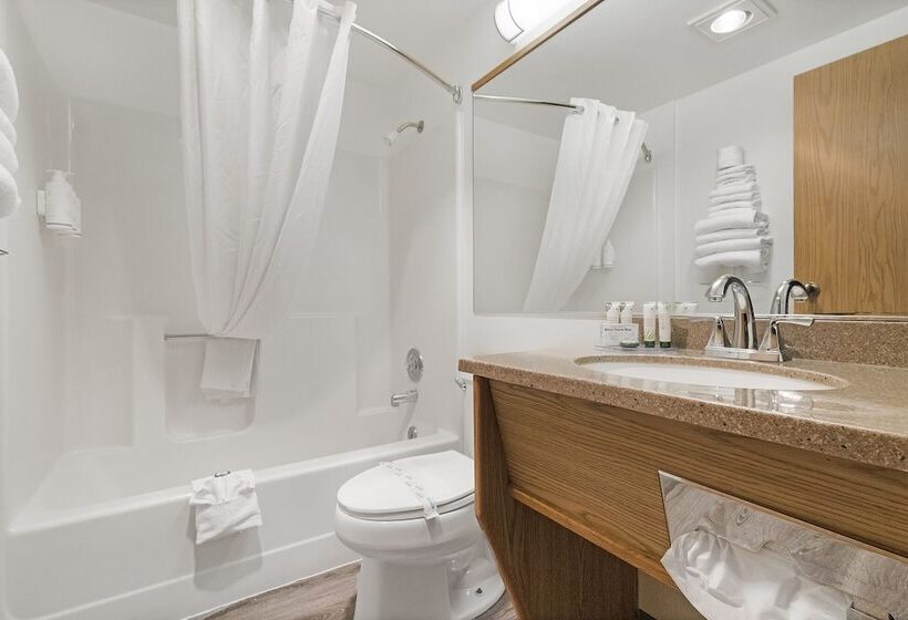 ホテル Sonora Aladdin Motor Inn