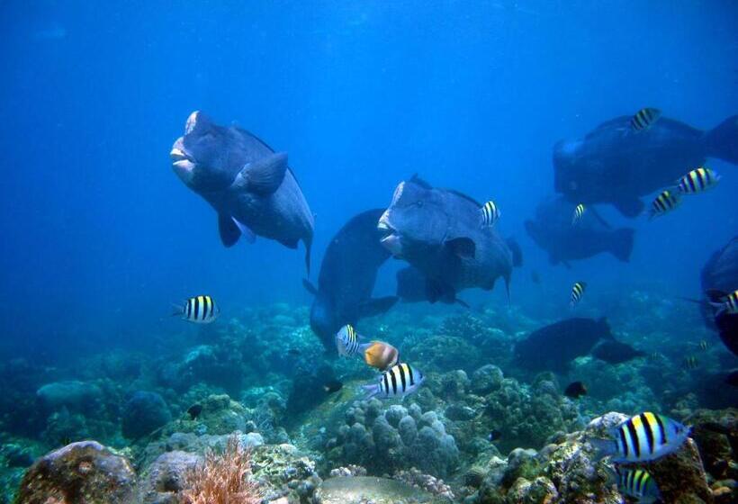 Matahari Tulamben Resort, Dive & Spa