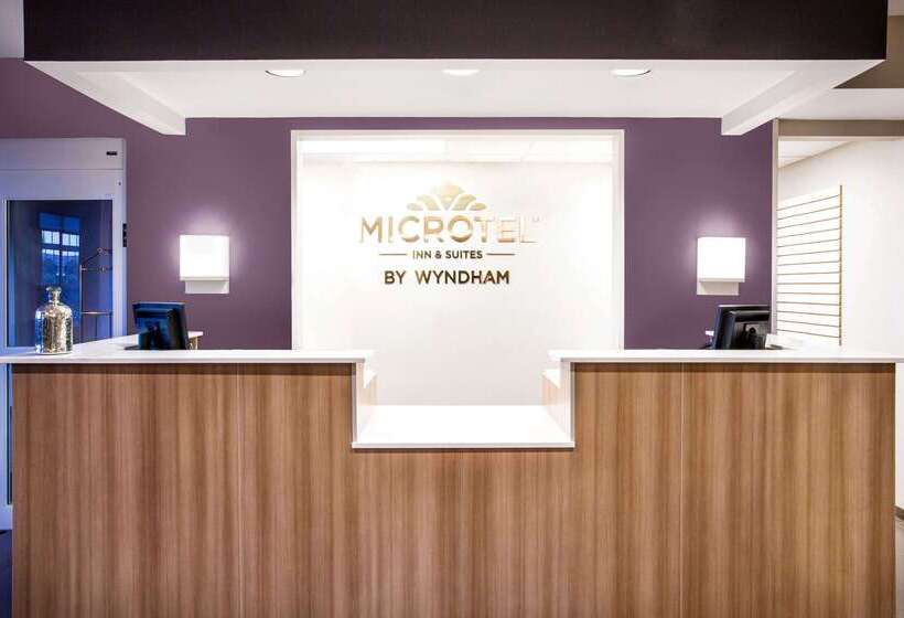 Microtel Inn & Suites By Wyndham Vernal/naples