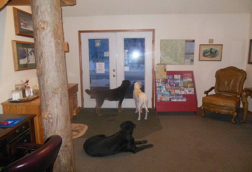 فندق على الطريق Clark Fork Lodge