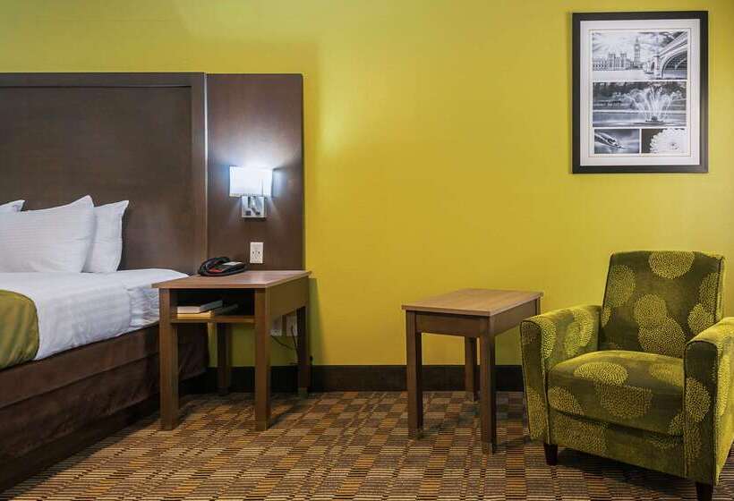 מוטל Quality Inn