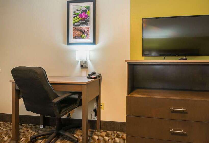 מוטל Quality Inn