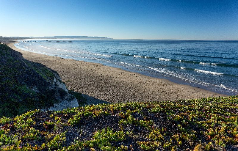 فندق على الطريق Tides Oceanview Inn And Cottages