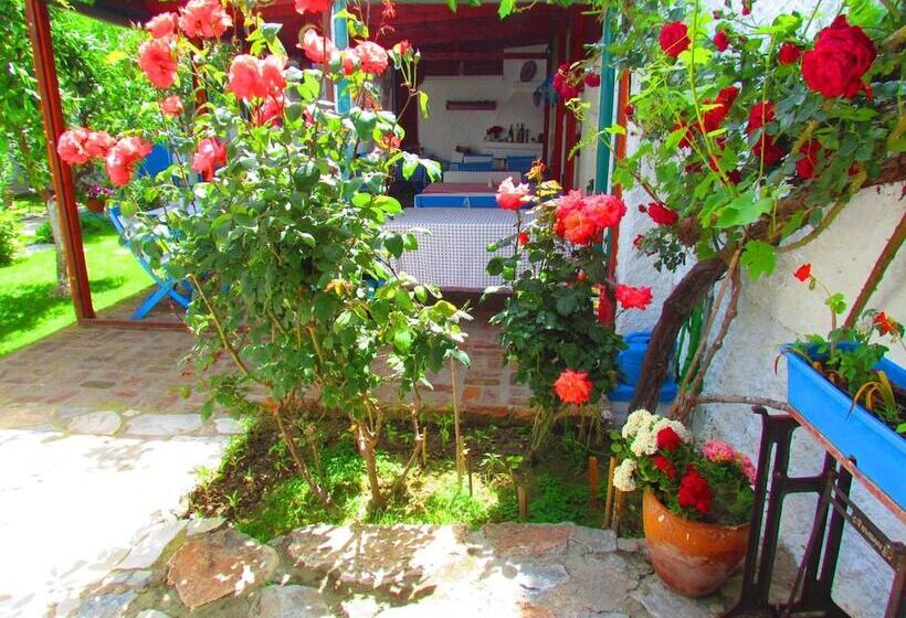 펜션 Amazon Antique